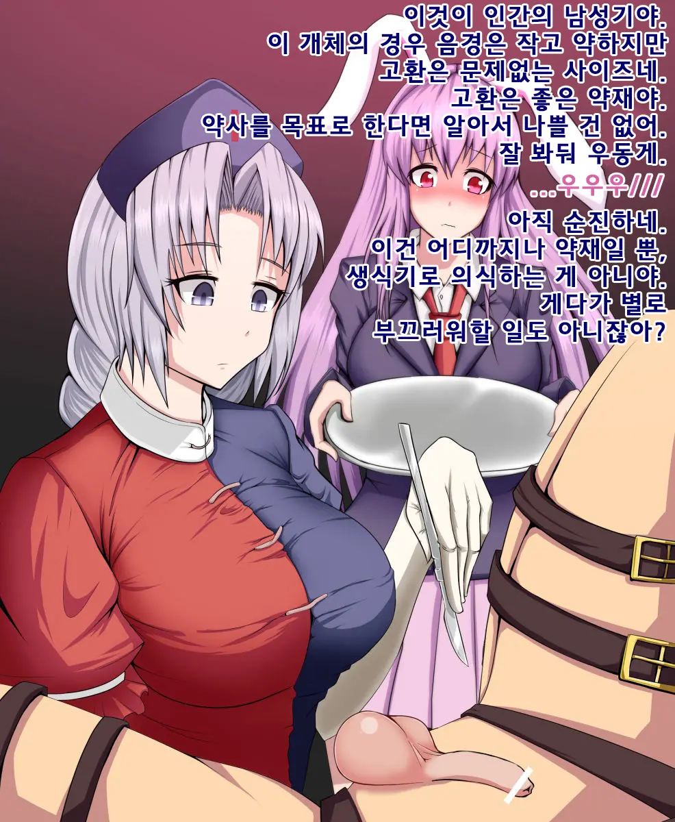 Eirin To Udonge No Kyousei Kougan Tekishutsu Shujutsu L 에이린과 우동게의 강제 고환 적출 수술